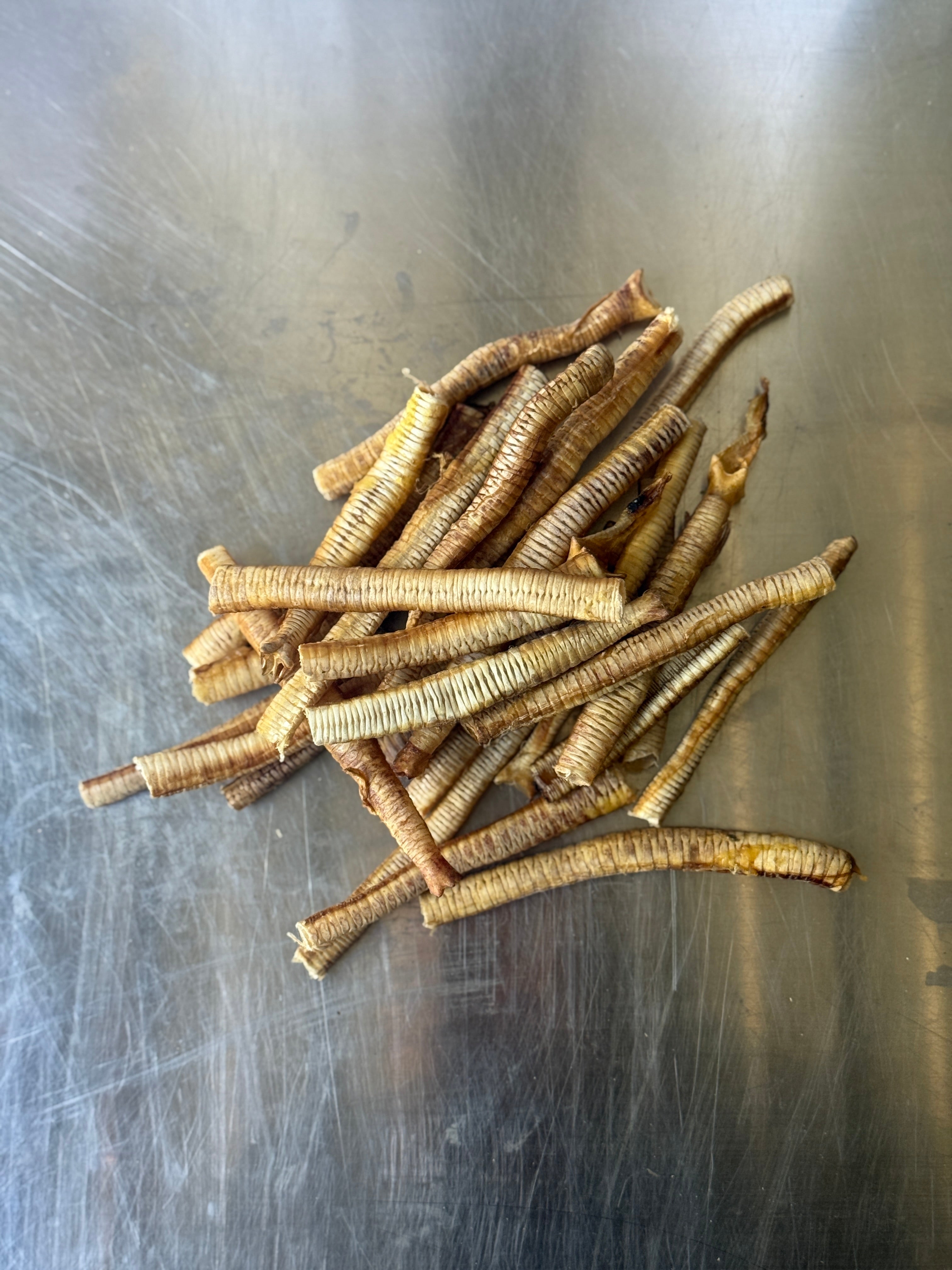 GOOSE TRACHEA