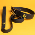 Biothane Dog Collar & Leash Combo - B.O.S.S. Farms