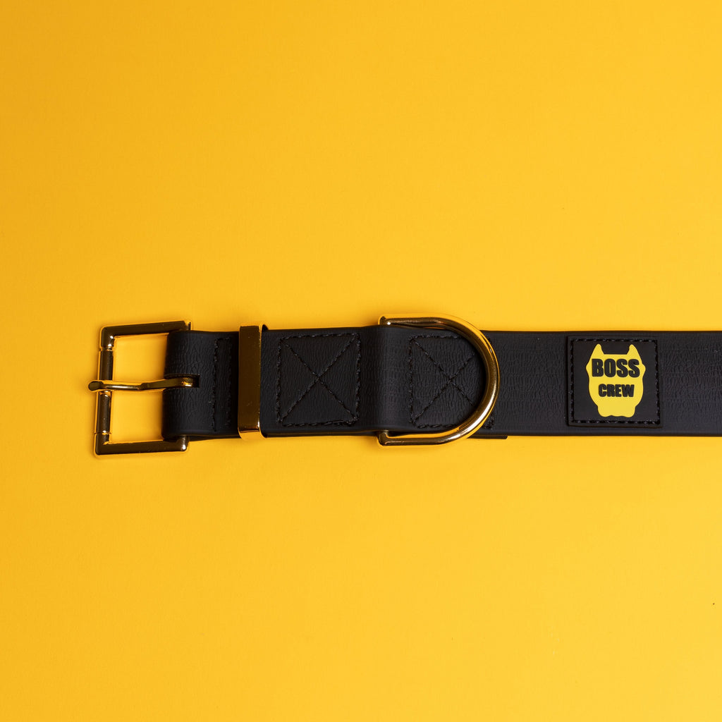 Biothane Dog Collar & Leash Combo - B.O.S.S. Farms