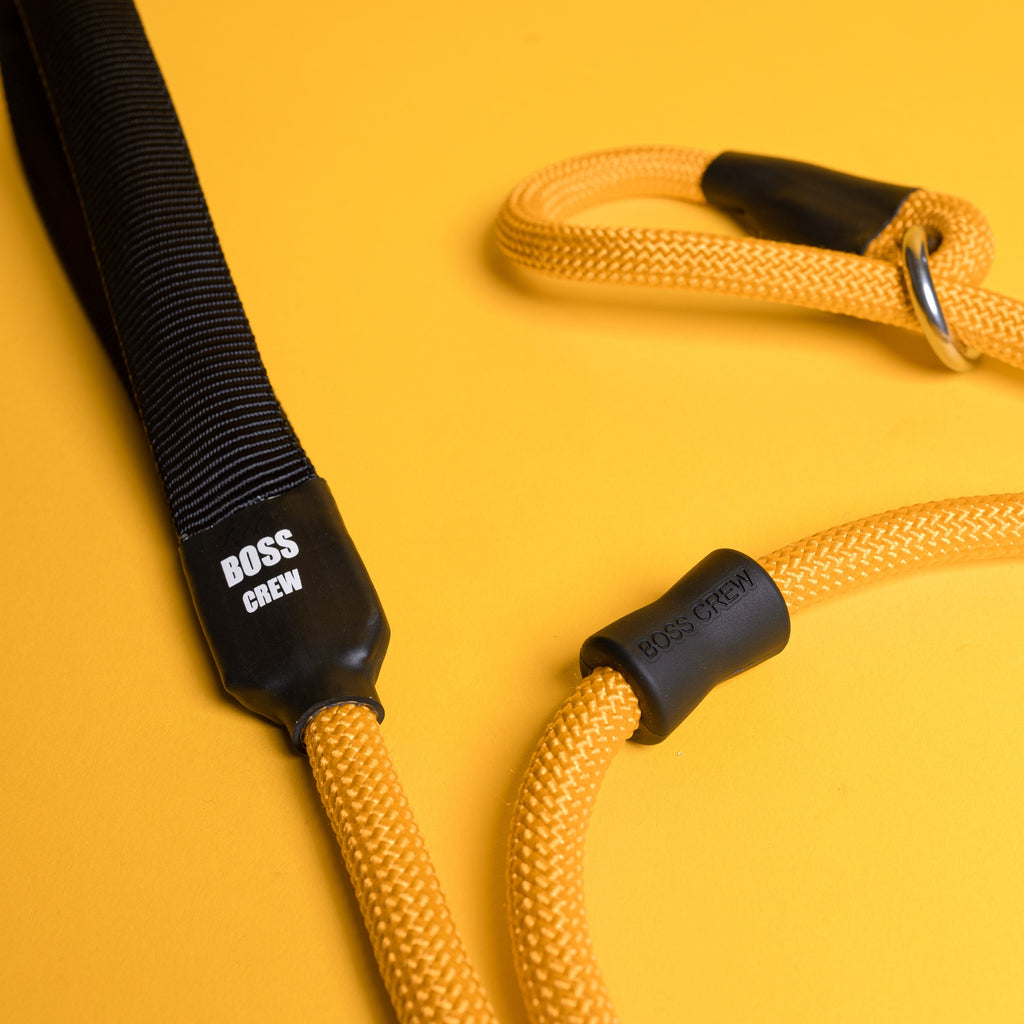 Slip Lead - Boss Yellow - B.O.S.S. Farms