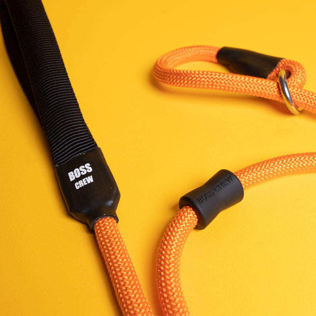 Slip Lead - Reversed Rescue Orange