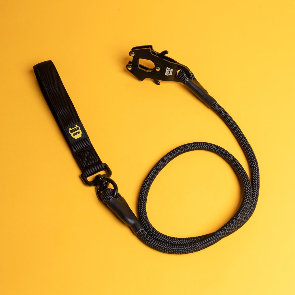 Quick Release Leash