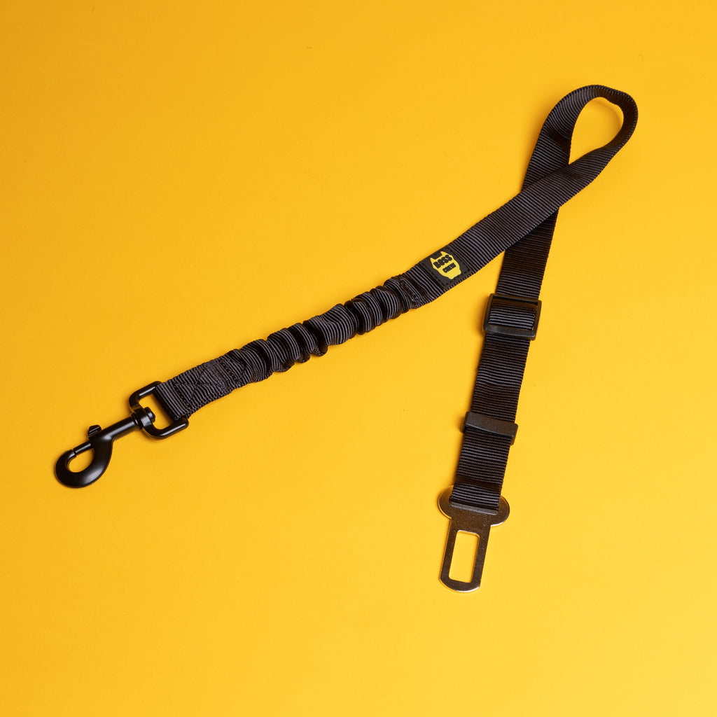 Car Buckle Leash