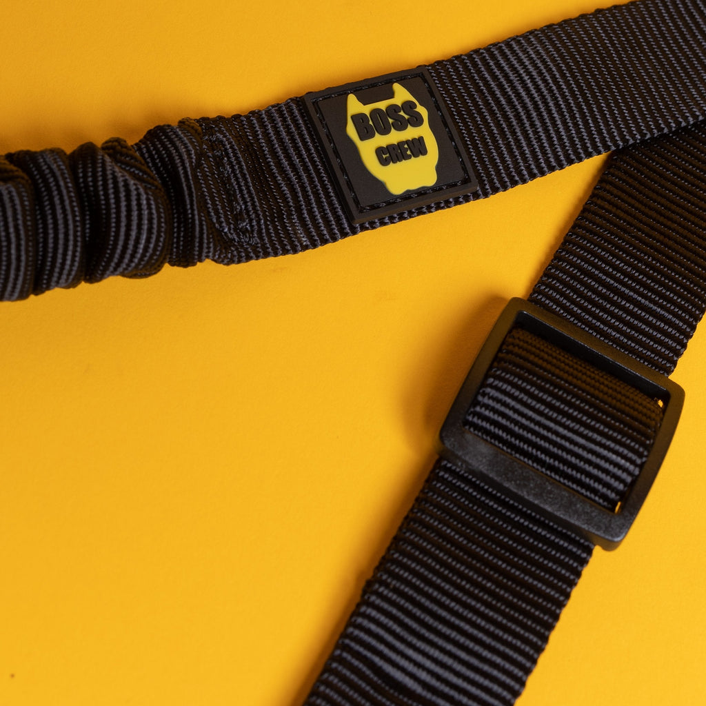 Car Buckle Leash