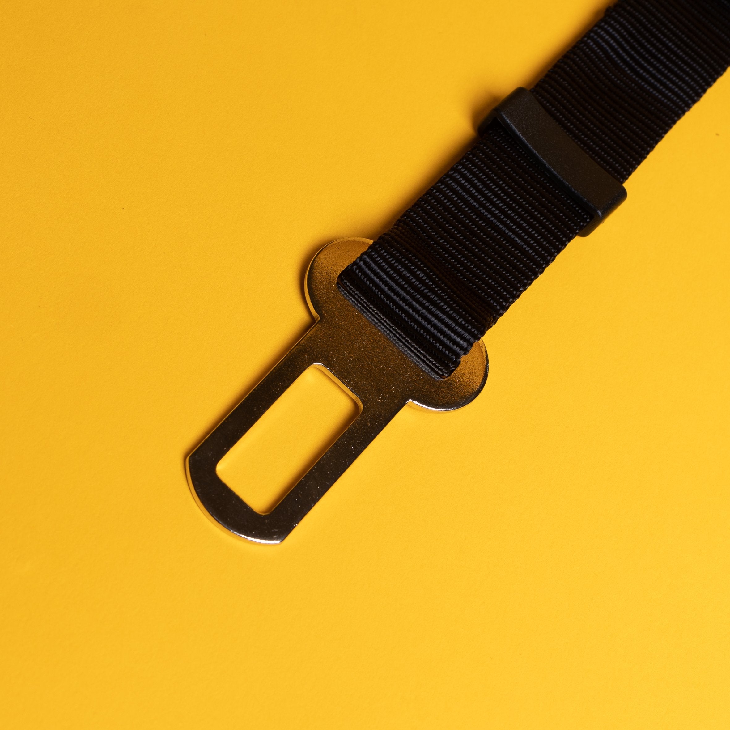 Car Buckle Leash