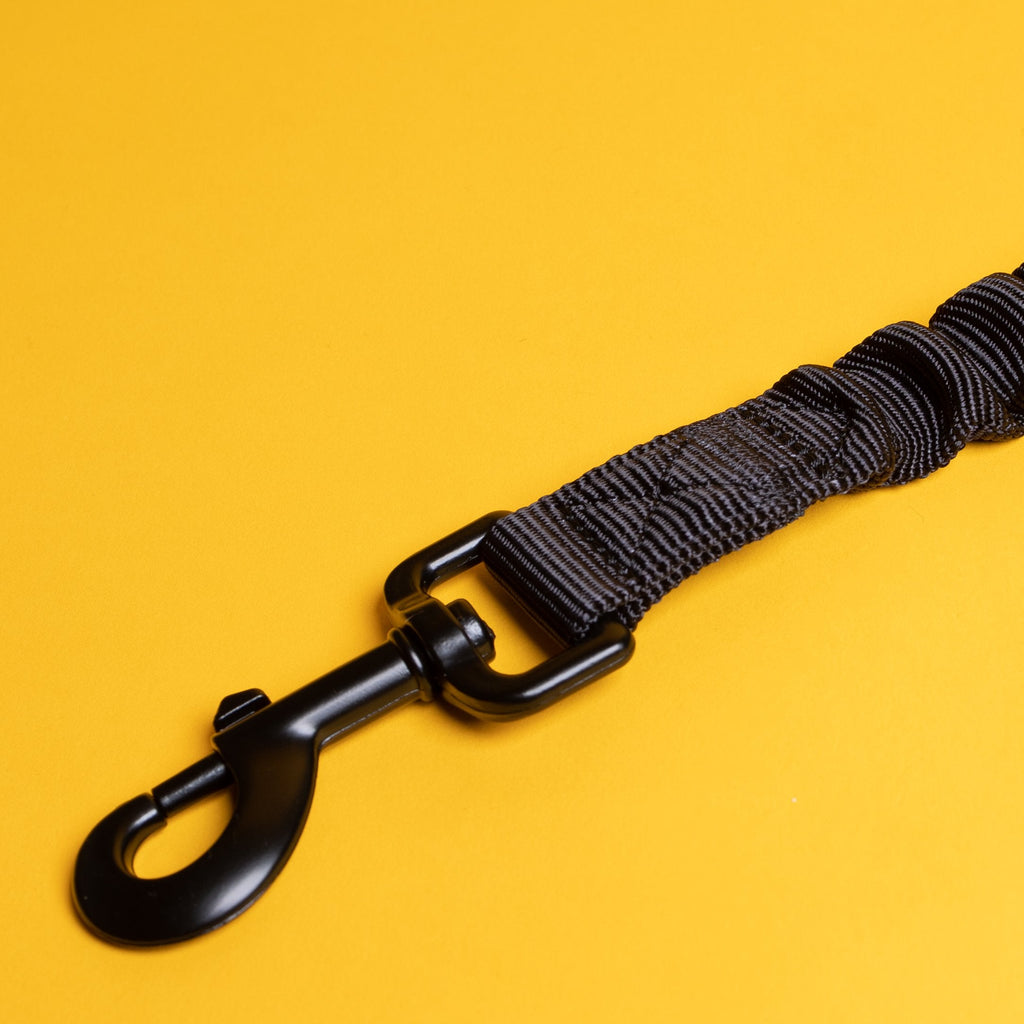 Dual Walker Leash Set
