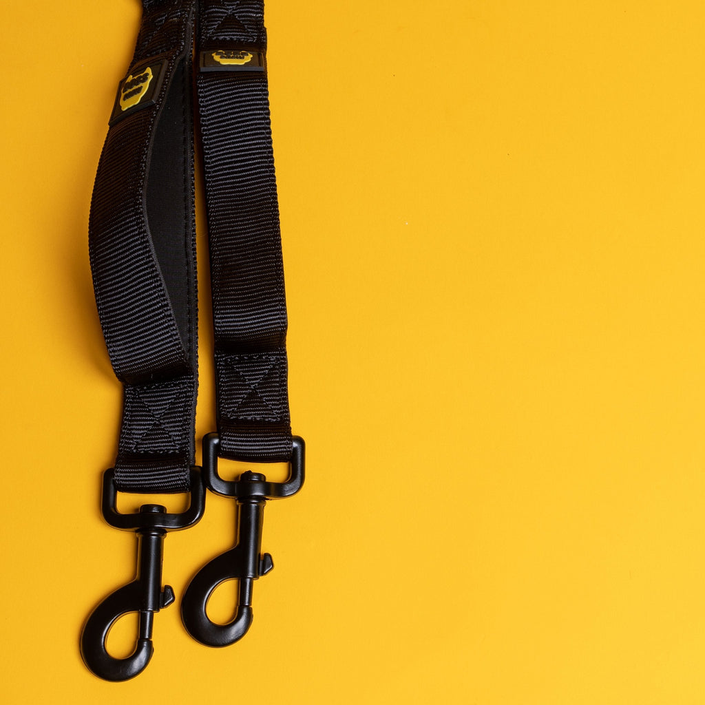 Dual Walker Leash Set