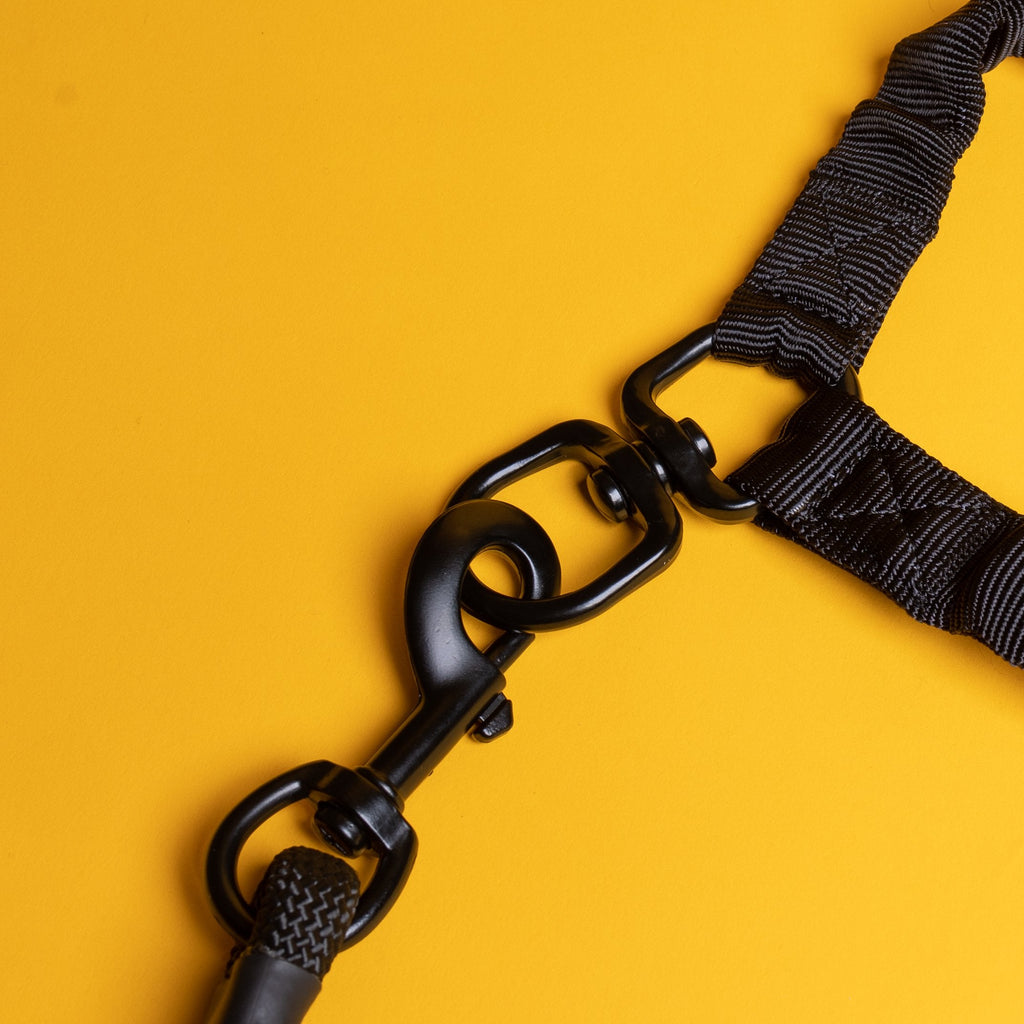 Dual Walker Leash Set