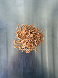 Antarctic Krill — the treats, shown loose (1 of 2)