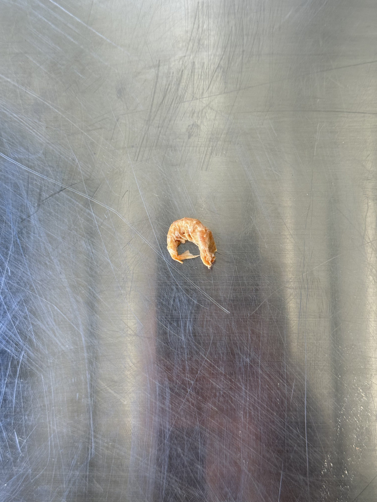 Antarctic Krill — the treats, shown loose (2 of 2)