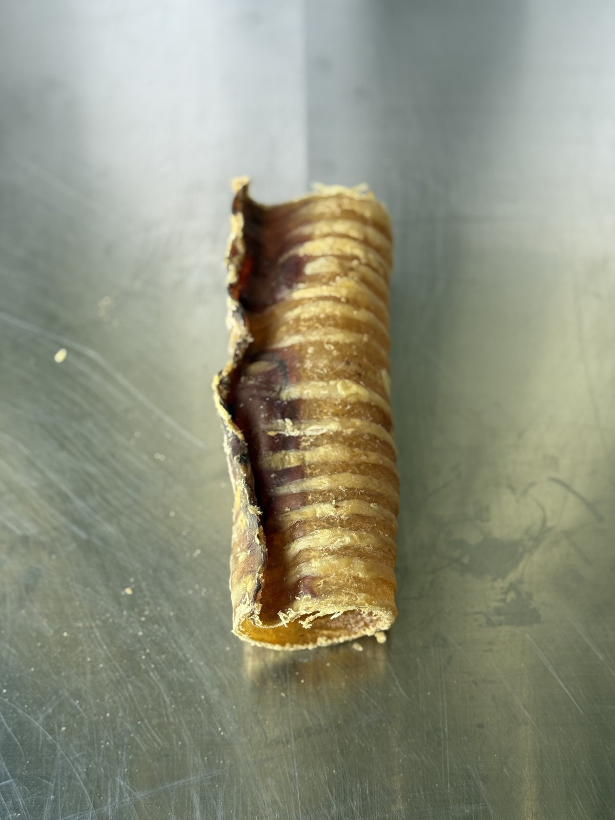 Beef Trachea Bucket — the treats, shown loose (3 of 3)