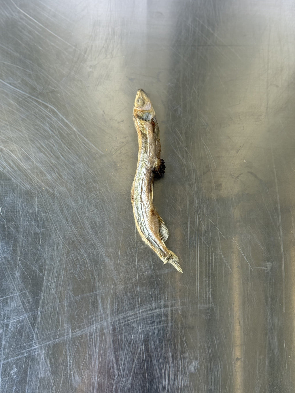 Capelin Fish Dog Treats — the treats, shown loose (2 of 3)