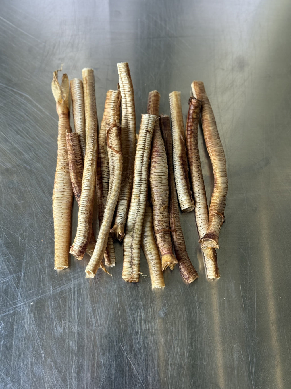 GOOSE TRACHEA — the treats, shown loose (2 of 3)